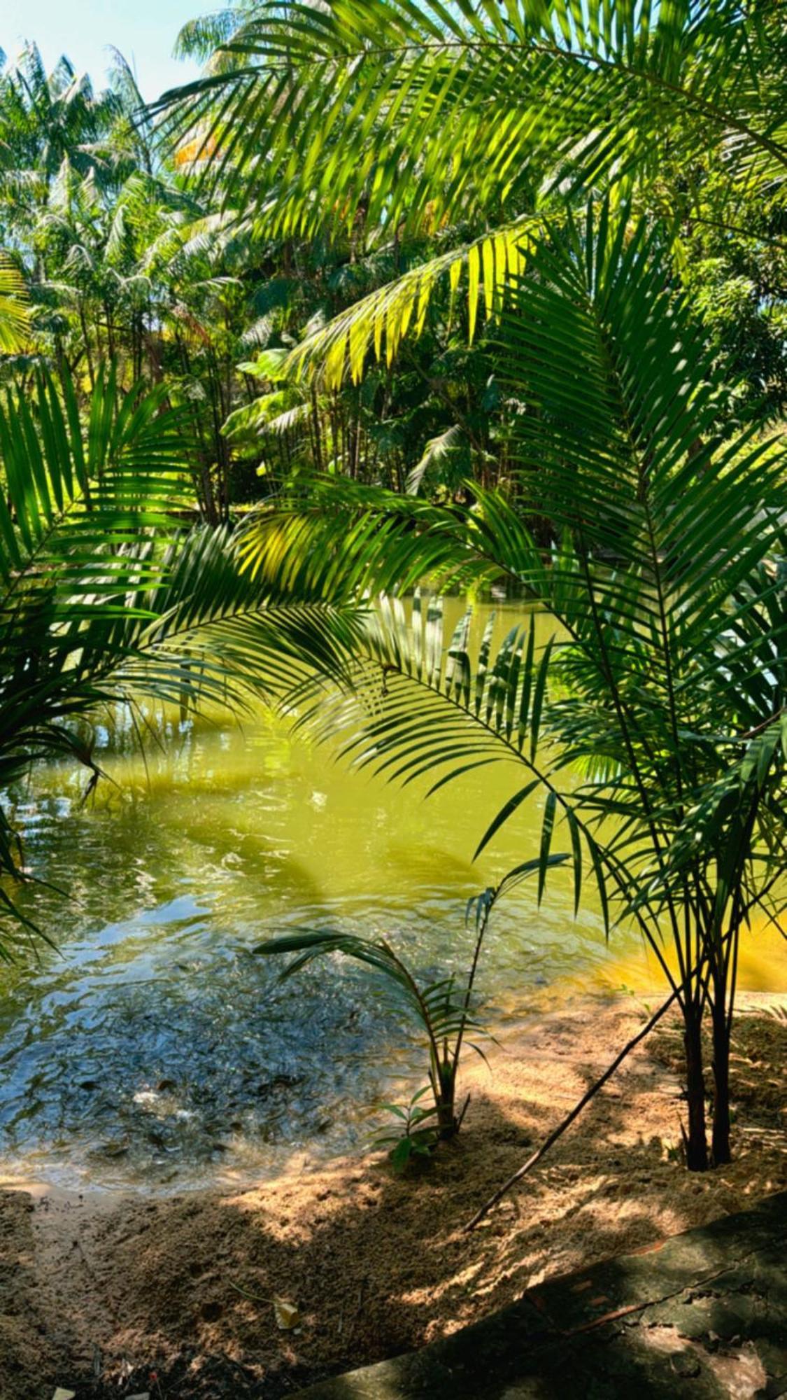Pousada Beira Rio Barrerinhas Hotel Barreirinhas Ngoại thất bức ảnh