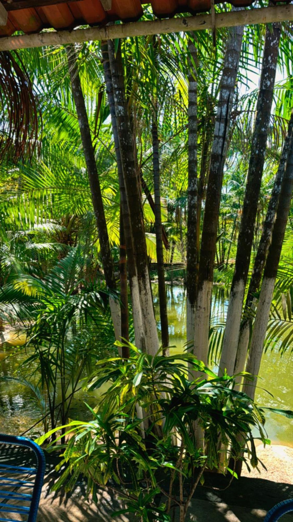 Pousada Beira Rio Barrerinhas Hotel Barreirinhas Ngoại thất bức ảnh
