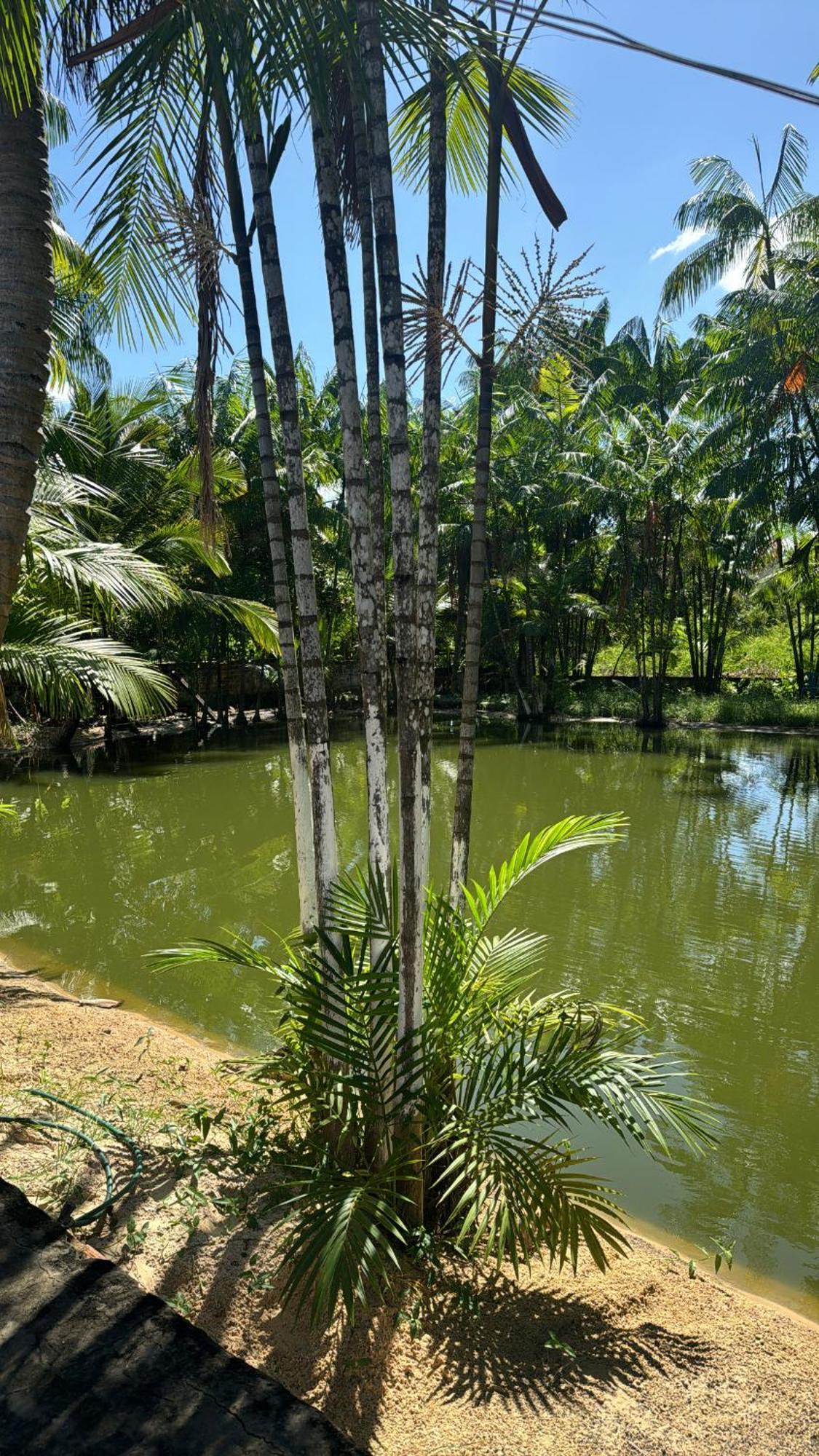Pousada Beira Rio Barrerinhas Hotel Barreirinhas Ngoại thất bức ảnh
